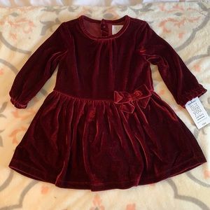 Carter’s Girl Dress